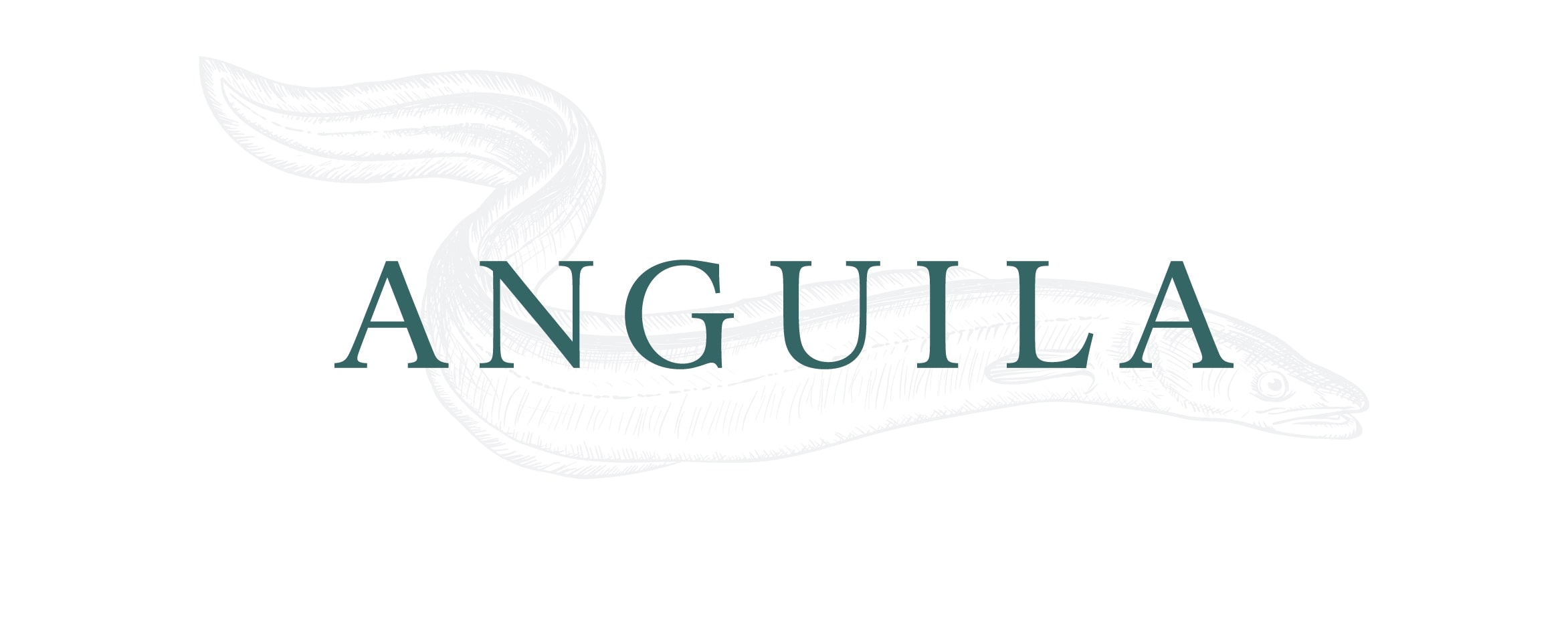 Het logo van Anguile met afbeelding in de achtergond een vis