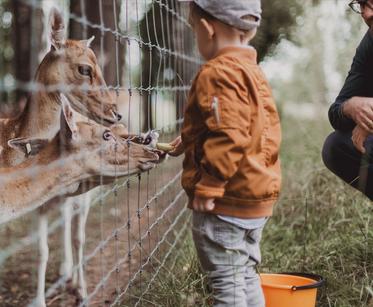 Inspiratie foto van een kind die eten geeft aan een hert